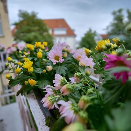 Appartement Otto I - Erfurt Zentrum Eksteriør billede