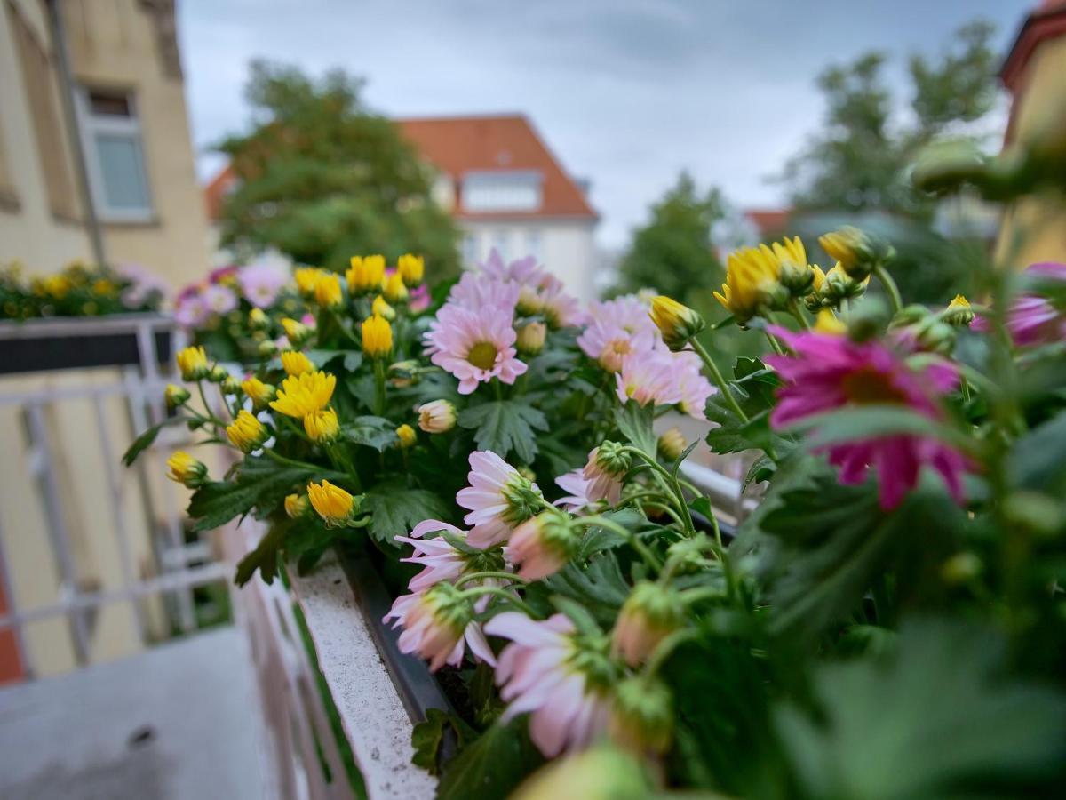 Appartement Otto I - Erfurt Zentrum Eksteriør billede